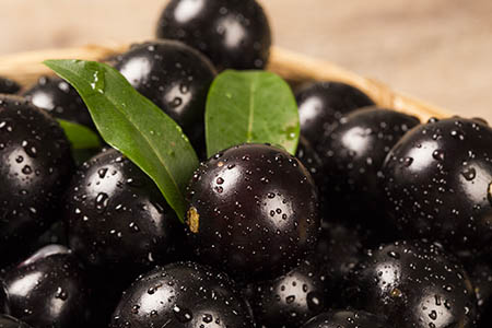 Extrato da casca de jabuticaba combate o pré-diabetes